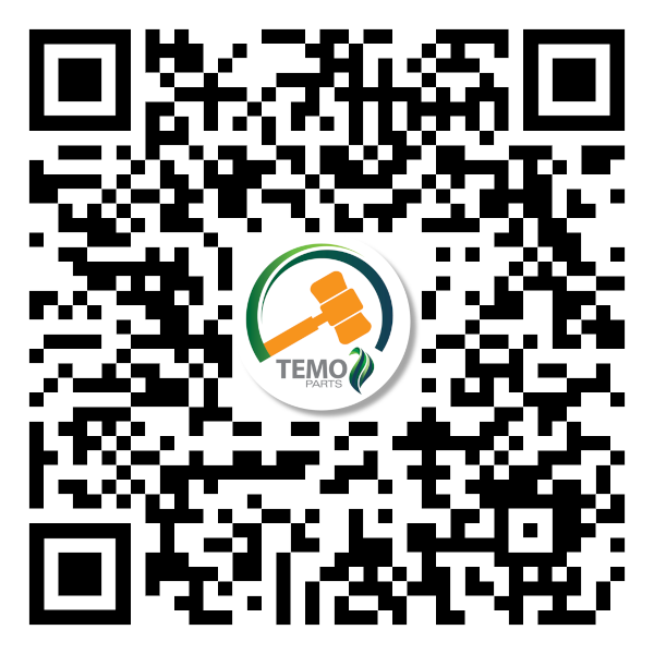 TemoPart Auction